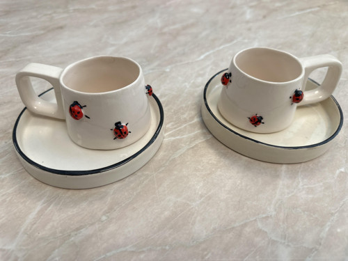 Uğur Böceği Kabartmalı 2’li Seramik Kahve Fincanı Takımı