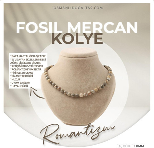 Sertifikalı Fosil Mercan Doğaltaş Kolye 8 Mm, M516