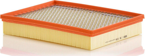 Filter C30039 Hava Filtresi
