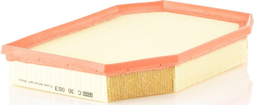 Filter C30003 Hava Filtresi