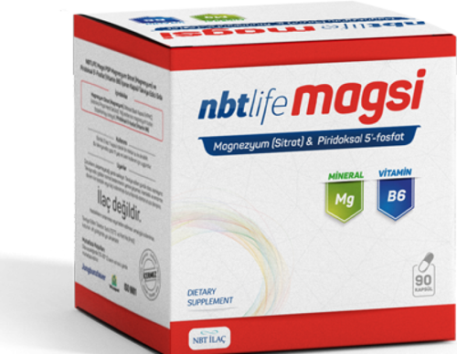 Magsi Magnezyum Sitrat + Piridoksal 5 Fosfat 90 Kapsül