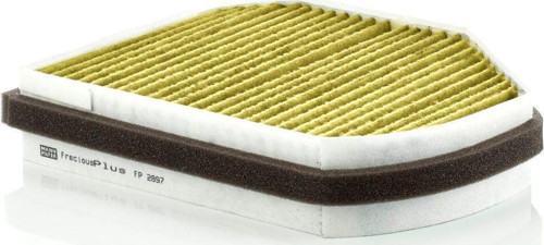 Filter FP2897 Alerjik Polen Filtresi