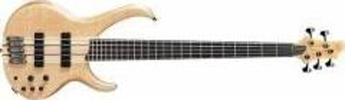 BTB1305ENTF BAS GİTAR KUTULU 5 TELLİ :IBANEZ KORE