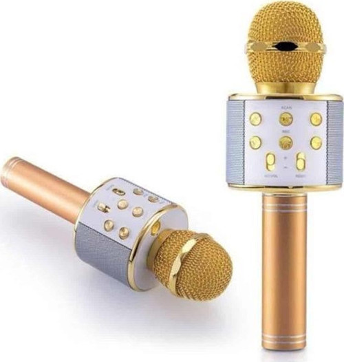 Karaoke Mikrofon Dahili Hoparlörlü Sd-usb-aux Girişli Bluetooth Hoparlör