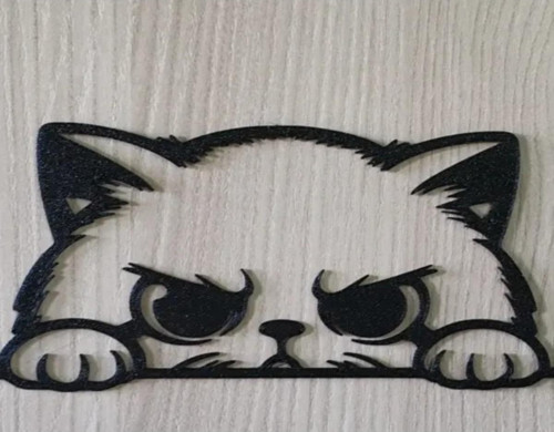 Kedi Duvar Dekoru