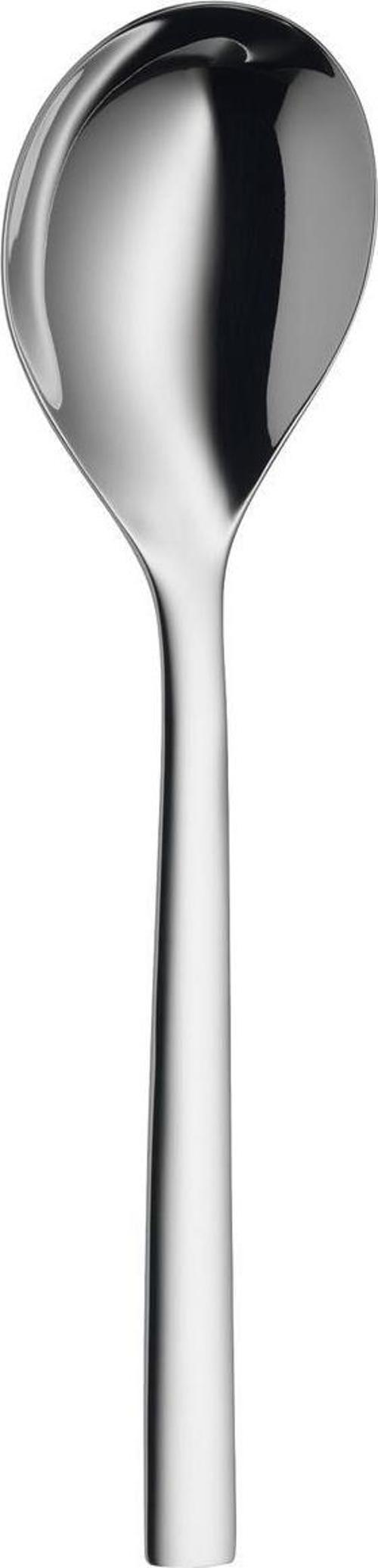 3201002521 Nuova Servis Kaşığı