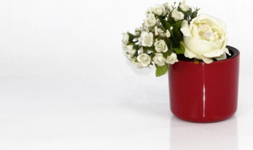 6 Adet Mimoza Saksı 11 Cm 0.82 Lt
