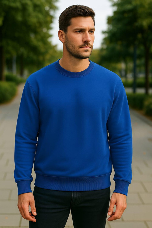 erkek sweatshirt 3 iplik şardonlu