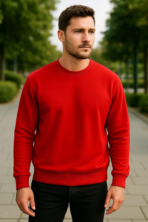 erkek sweatshirt 3 iplik şardonlu