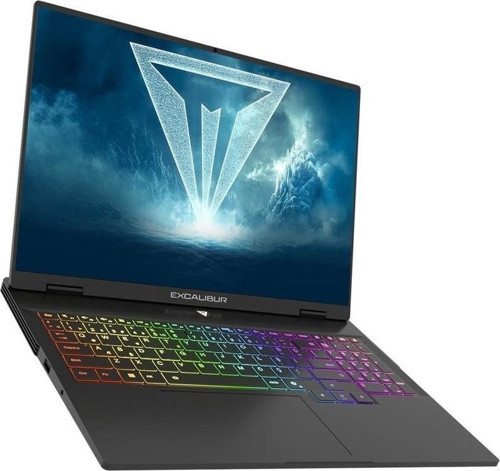 Excalibur G915.1362-Bq70X-C İ7 13620H 24Gb 1Tb 8Gb Rtx5070 165Hz 16" Freedos Notebook