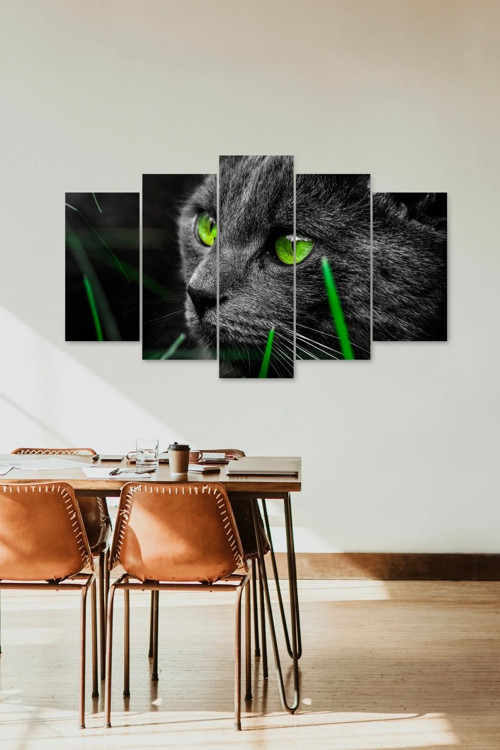 Büro Ev Ofis Dekoru için 60x100CM 5PARÇA Mdf Kedi Tema Tablo