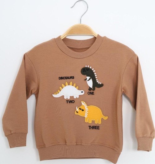 Toontoy Erkek Çocuk Relax Fit Bisiklet Yaka Hafif Düşük Omuz Nakışlı Sweatshirt