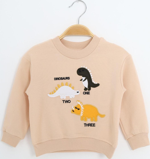 Toontoy Erkek Çocuk Relax Fit Bisiklet Yaka Hafif Düşük Omuz Nakışlı Sweatshirt