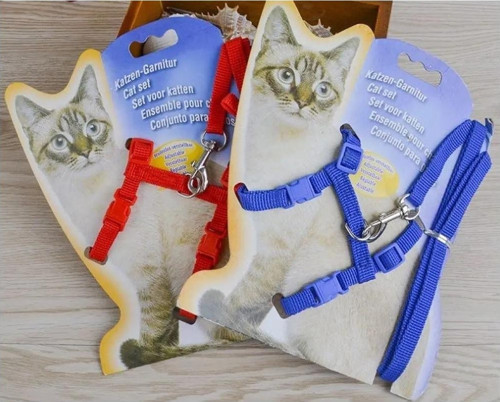 Kedi Boyun ve Göğüs Tasması