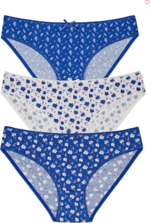 3 Lü Desenli Slip Külot - Mavi