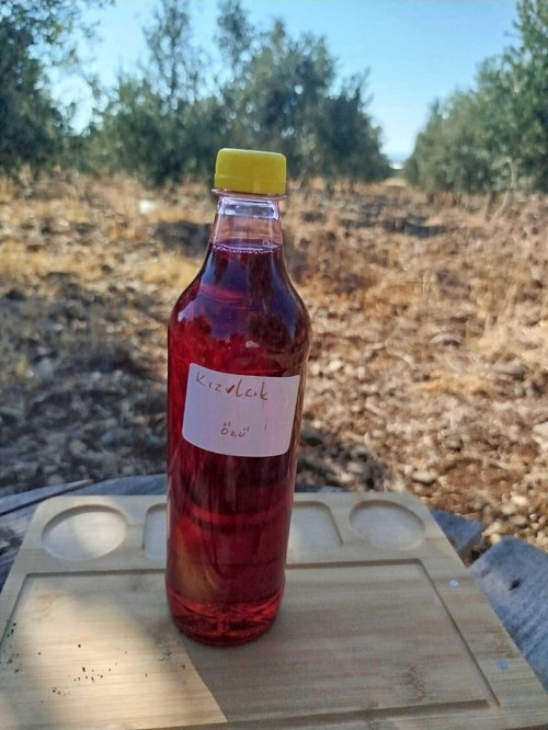 Kızılcık Özü 1 Litre