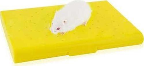 Carno Hamster Yatağı Soğutucu Buz Torbalı 14x10x1cm