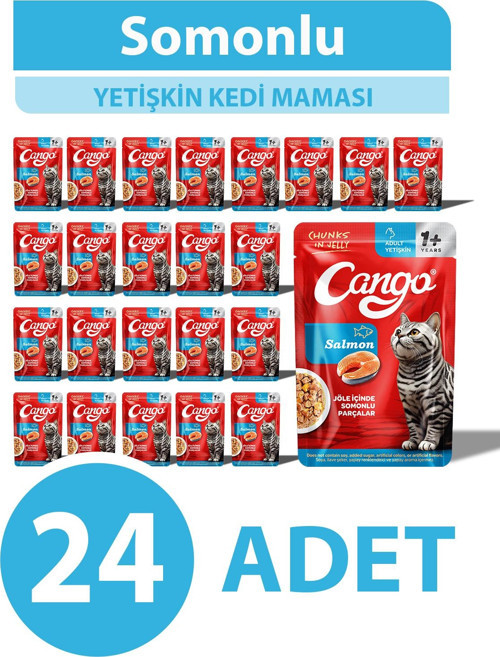 Yaş Yetişkin Kedi Maması Somonlu 80 GR 24 Adet