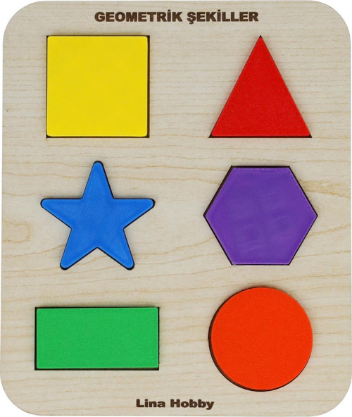 Montessori Eğitici Ahşap Geometrik Şekiller Yapboz - Okul Öncesi Çocuk Zeka Oyunu (20x17 cm)