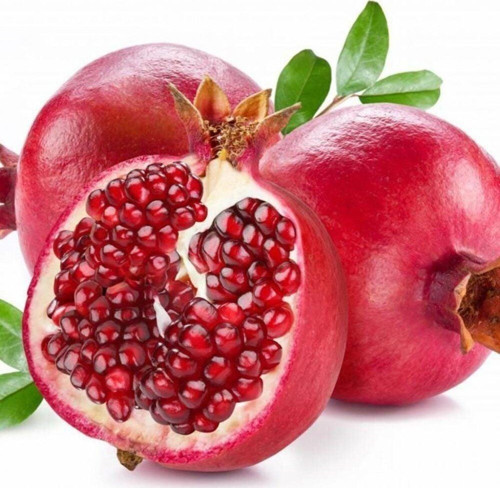 4 Yaş Aşılı HİCAZ Nar Fidanı, Torbada