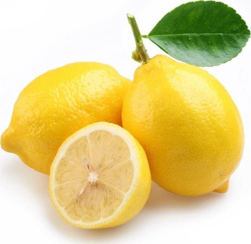 Meyve Verme Yaşında Tüplü Kokulu Tatlı Limon/Şeker Limon Fidanı (Sınırlı Stok)