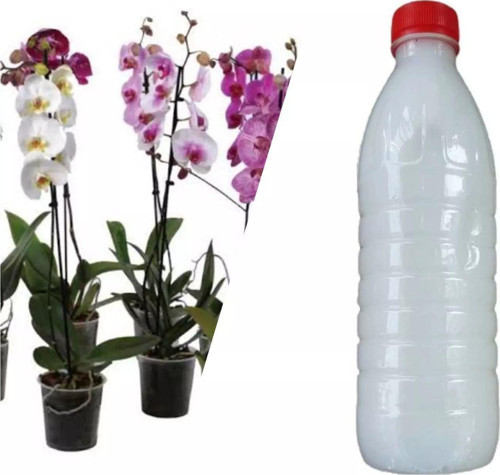 Orkideler İçin Özel İlaç Karışımı 500 ML