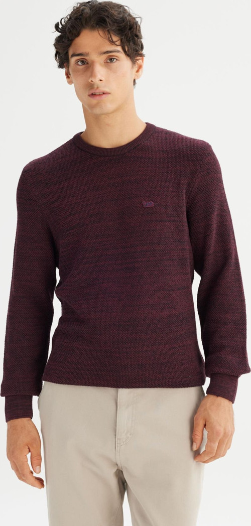 Regular Fit Bisiklet Yaka Erkek Triko Kazak L2520364810