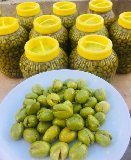 KIRIK YEŞİL ZEYTİN