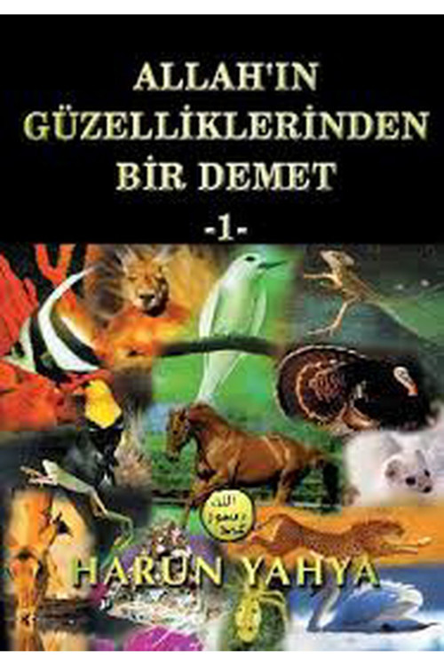 Allah'In Güzelliklerinden Bir Demet 1 - Harun Yahya (1999 Basım)