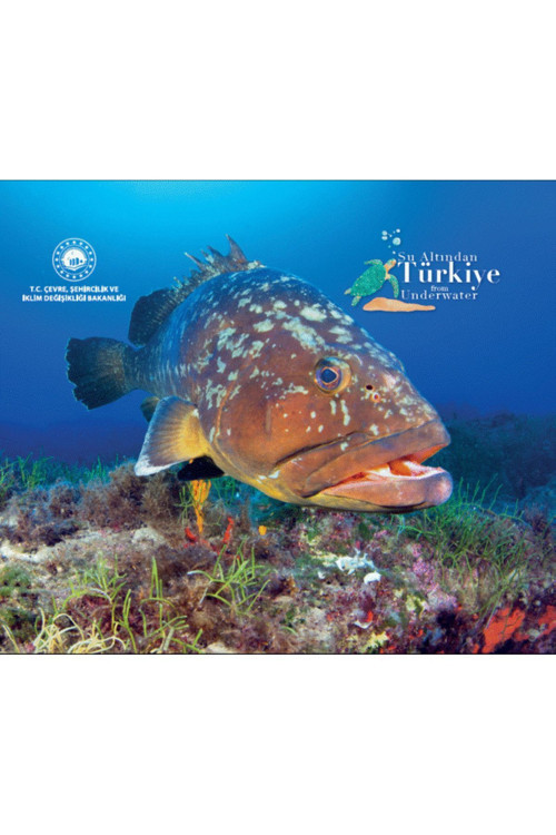 Su Altından Türkiye From Underwater