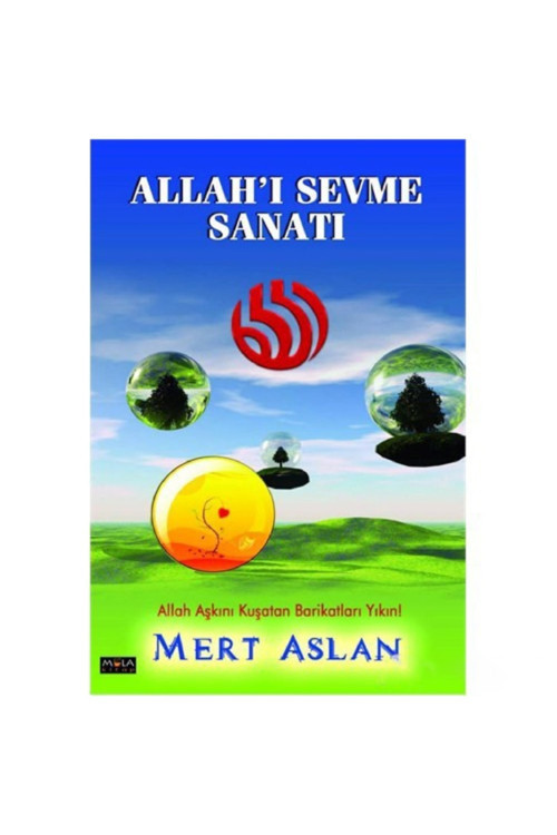 Allah'I Sevme Sanatı