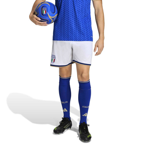 Erkek İtalya Futbol Şort Fıgc H Sho Jl6941