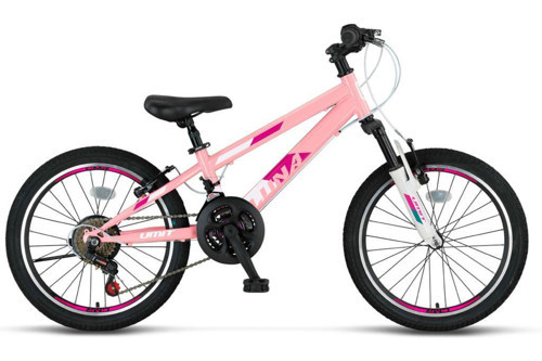 Luna 20 Jant Kız Çocuk Bisikleti 2069 (120-140 cm arası boy)