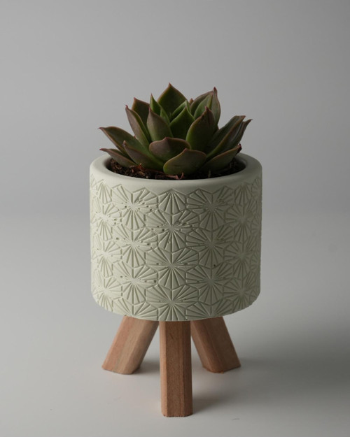 Dekoratif Beton Saksı - Karo Çizgi - Açık Yeşil