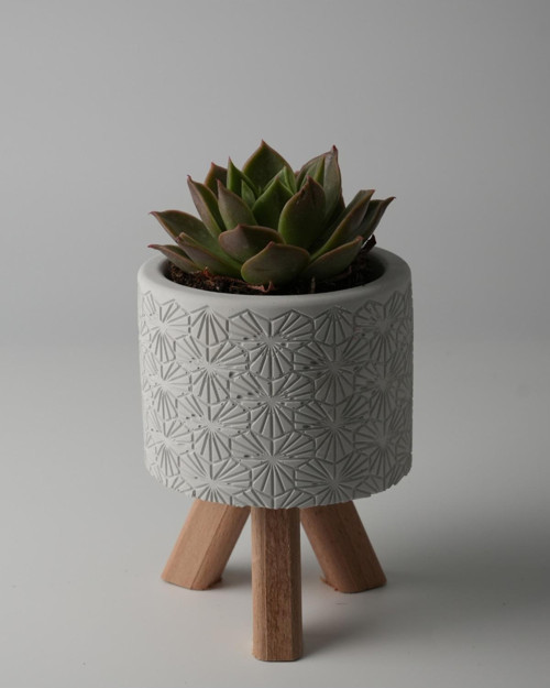 Dekoratif Beton Saksı - Karo Çizgi - Ahşap Ayaklı