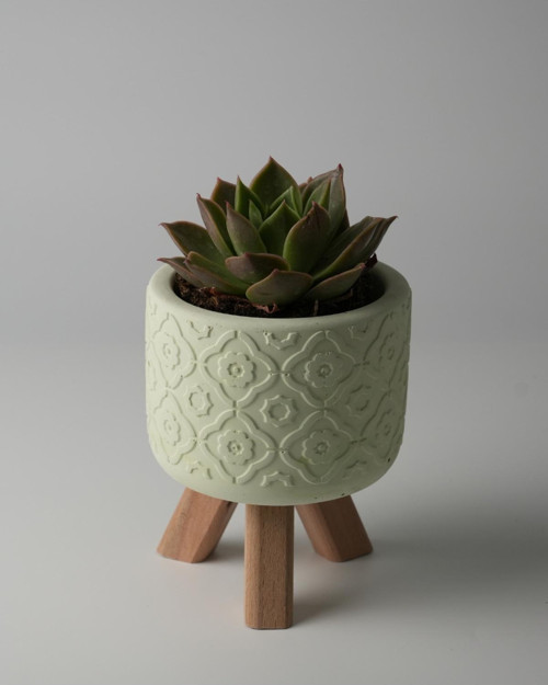 Dekoratif Beton Saksı - Otantik Çiçek - Açık Yeşil