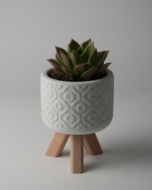 Dekoratif Beton Saksı - Otantik Çiçek - Gri