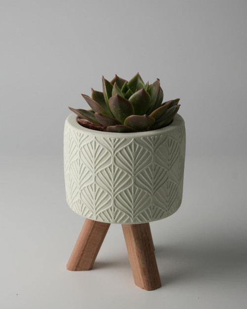 Dekoratif Beton Saksı - Yaprak - Açık Yeşil