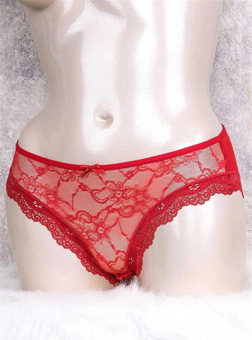 Kadın Önü Dantelli Arkası Pamuklu Slip (2718)