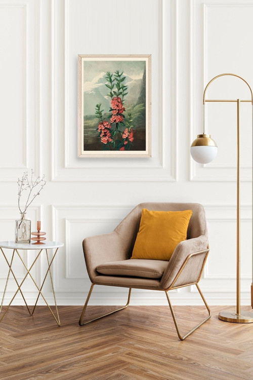 Büro Ev Ofis Dekoru için 30x42CM Tekli Ahşap Çerçeveli NLKalmia Tablo No5
