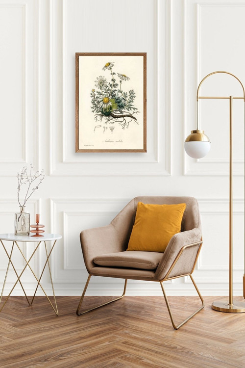 Büro Ev Ofis Dekoru için 30x42CM Tekli Ahşap Çerçeveli Papatya Tema Tablo No5