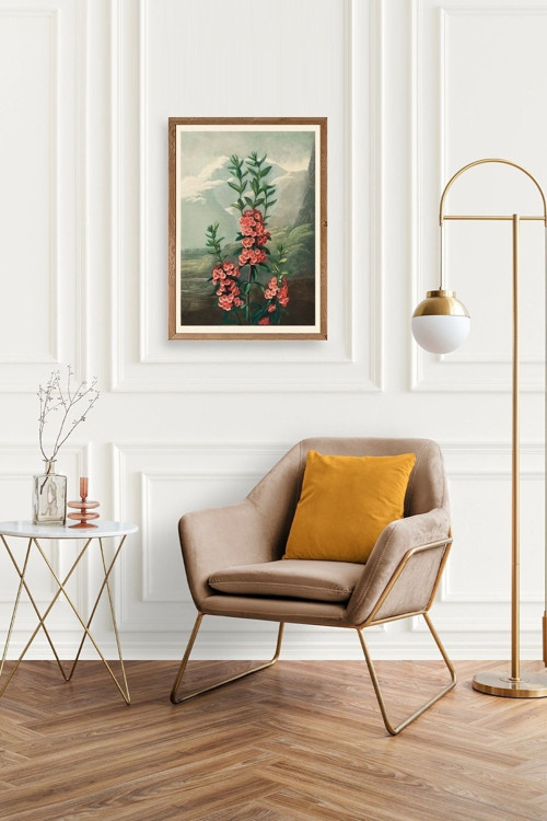 Büro Ev Ofis Dekoru için 23x30CM Tekli Ahşap Çerçeveli NLKalmia Tablo No4