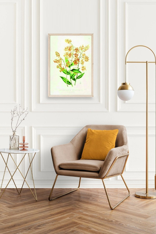 Büro Ev Ofis Dekoru için 30x42CM Tekli Ahşap Çerçeveli Çiçek Tema Tablo No438