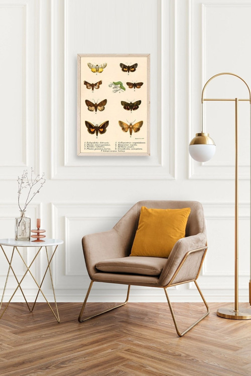 Büro Ev Ofis Dekoru için 23x30CM Tekli Ahşap Çerçeveli Kelebek Tema Tablo No16