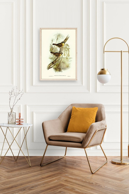 Büro Ev Ofis Dekoru için 30x42CM Tekli Ahşap Çerçeveli Kuş Tema Tablo No104