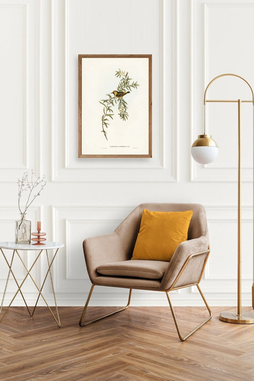 Büro Ev Ofis Dekoru için 30x42CM Tekli Ahşap Çerçeveli Kuş Tema Tablo No16