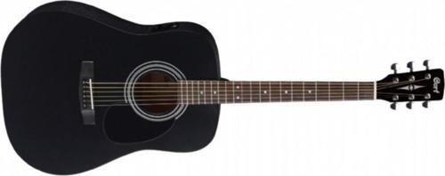 Elektro Akustik Gitar