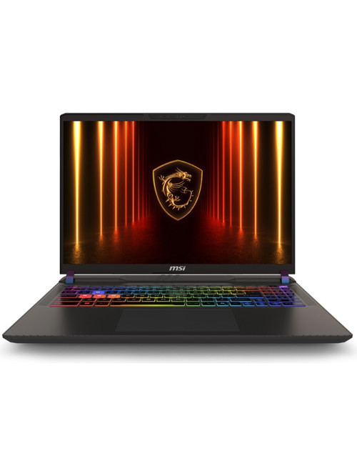 VECTOR 16 HX AI A2XWGG-021TR Intel Core Ultra 9 275HX 8 GB RAM 1 TB SSD RTX5070 16" QHD+ 240Hz Windows 11 KN4