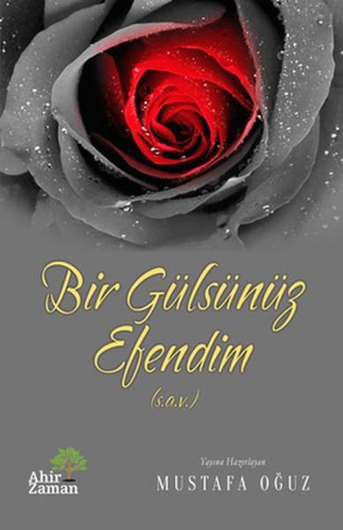 Bir Gülsünüz Efendim