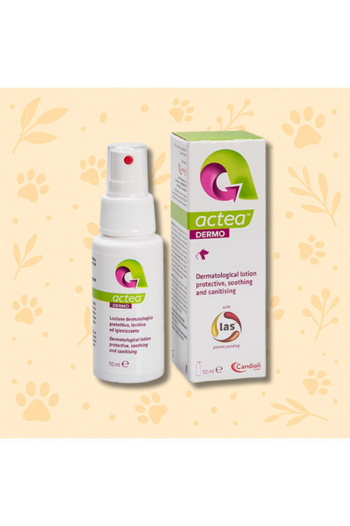 ACTEA DERMO 50ML - Dermatolojik Losyon